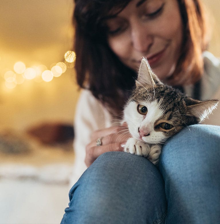 Forms and Links: Woman Holding Kitten