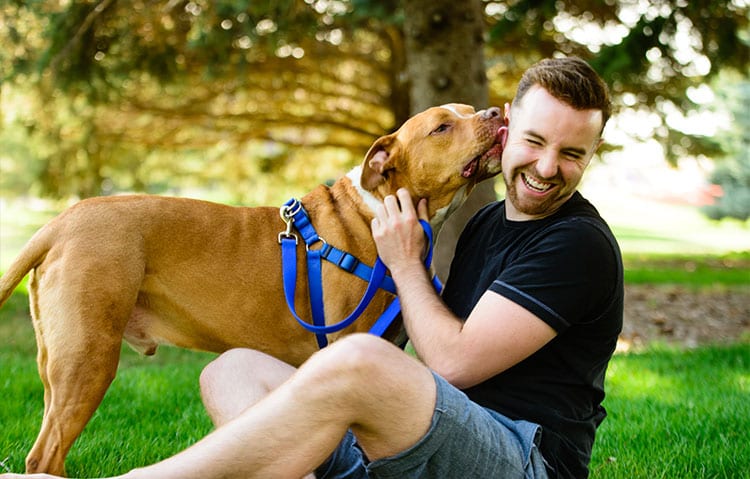 dog-kissing-man-2 dog-kissing-man-2