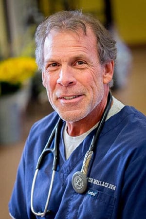dr-wallace dr-wallace