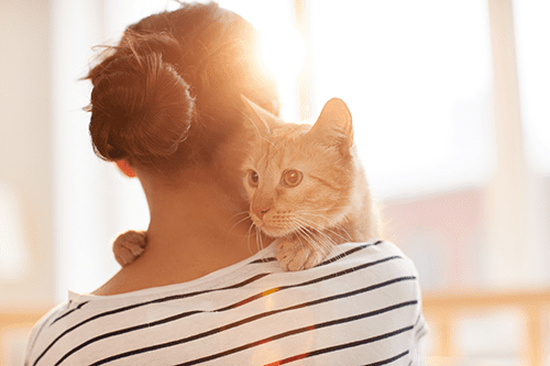 Pet Vaccinations in Cary: Kitten Looking Over Woman's Shoulder