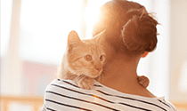 kitten-on-shoulder kitten-on-shoulder
