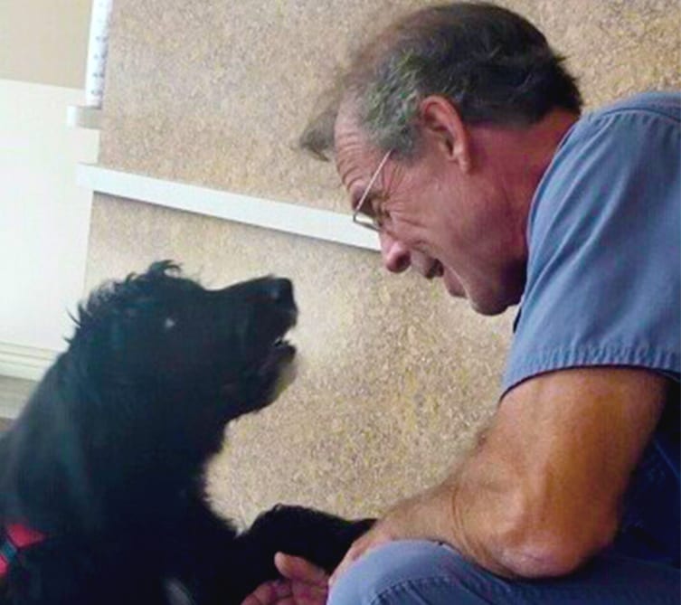 wallace-shaking-dogs-paw wallace-shaking-dogs-paw