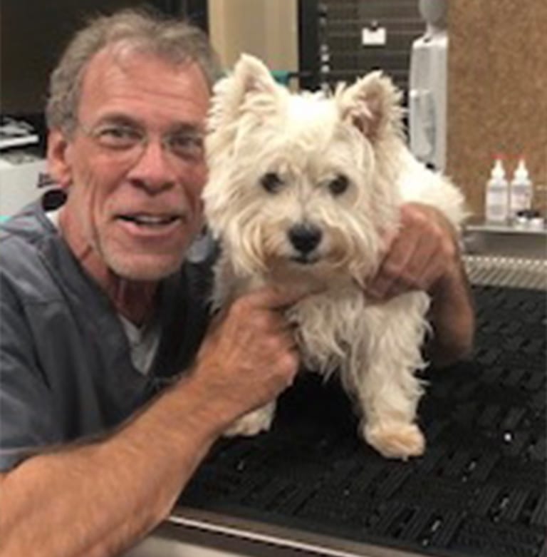 Contact Us: Dr. Wallace and Dog